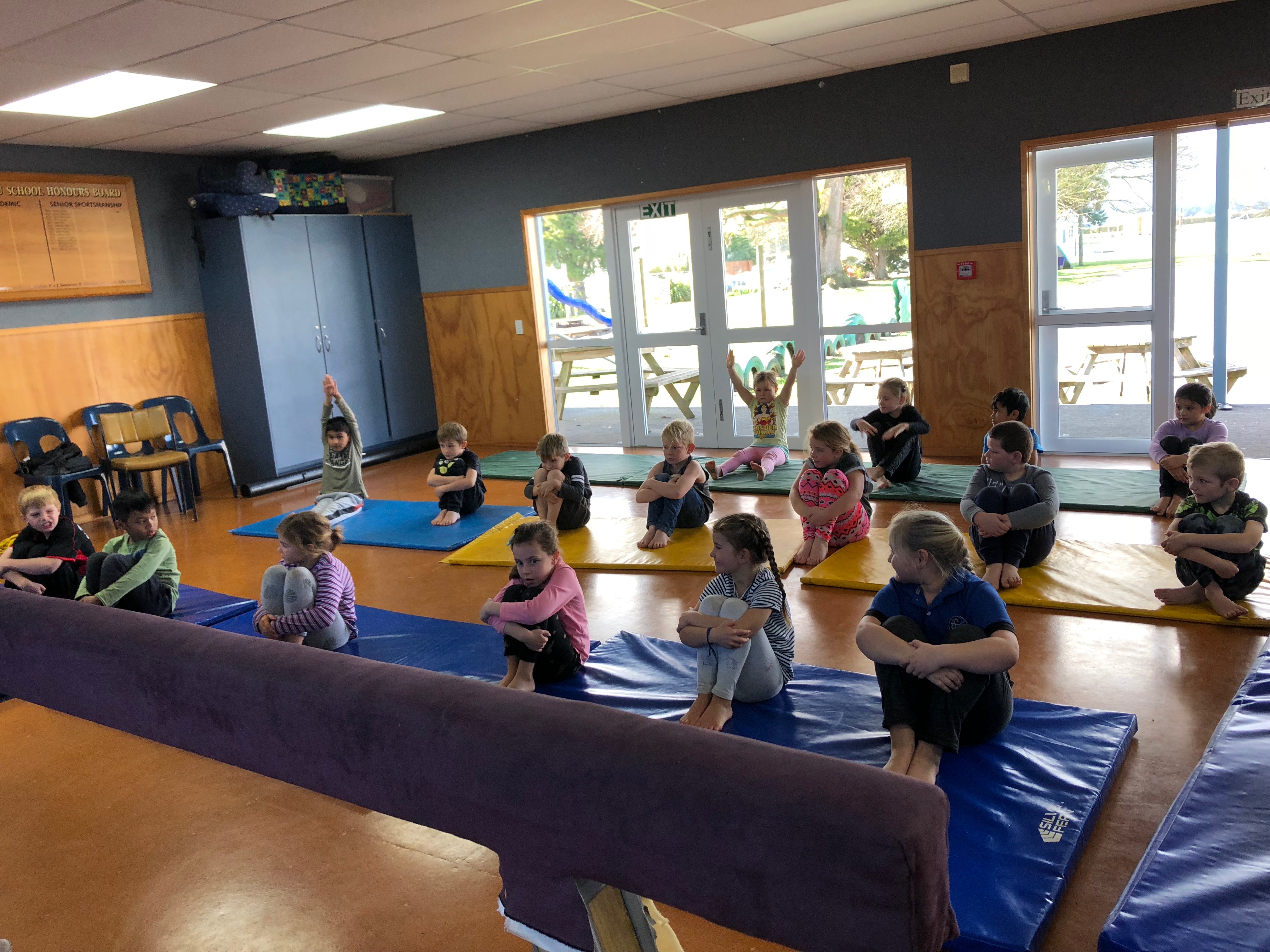 Energize breaking down barriers to gymnastics